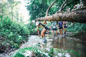 BIB: 
                            <button type="button" onclick="openModal(25445476)" class="btn btn-primary btn-sm float-right btn-popup" data-toggle="modal" data-target=".modal-high-quality">
                        <i class="fas fa-shopping-cart"></i> Add to Cart
                    </button>
                                            <button type="button" onclick="isThisMe(25445476, true)" class="btn btn-success btn-sm float-right btn-popup btn-isme hidden" data-toggle="tooltip" data-placement="bottom" title="นี่คือรูปของคุณใช่ไหม คลิกที่นี่เพื่อเอาเข้าอัลบั้ม">
                        <i class="fas fa-plus"></i> Add to album
                    </button>
                    <button type="button" onclick="isThisMe(25445476, false)" class="btn btn-warning btn-sm float-right btn-popup btn-isnotme hidden">
                        <i class="fas fa-ban"></i> Remove from album
                    </button>